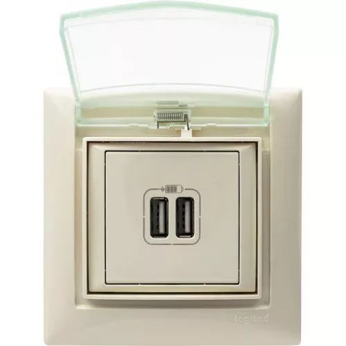Розетка USB 2-м СП Valena сл. кость Leg 774170 фото 2