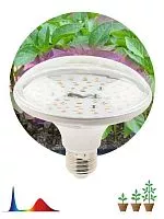 Светильник FITO-18W-RB-E27 FITO-18W-RB-E27 ЭРА Б0049533