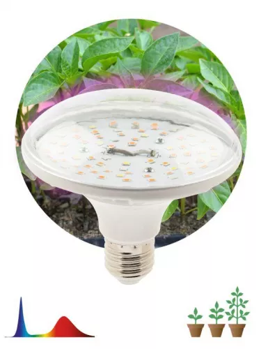 Светильник FITO-18W-RB-E27 FITO-18W-RB-E27 ЭРА Б0049533 Светильник FITO-18W-RB-E27 FITO-18W-RB-E27 ЭРА Б0049533
