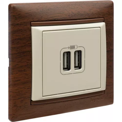 Розетка USB 2-м СП Valena сл. кость Leg 774170 фото 5