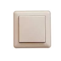 Розетка 1-м СП W59 AQUA 16А IP44 защ. шторки с заземл. в сборе сл. кость SchE RS16-152B-28