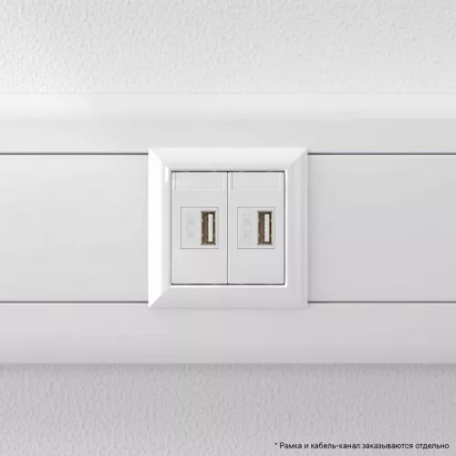 Устройство зарядное USB 2мод. 2.1А Avanti "Белое облако" DKC 4400542 фото 6