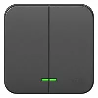 Выключатель 2-кл. ОП Blanca 10А IP20 (сх. 5) 250В с подсветкой с изолир. пластиной антрацит SchE BLNVA105116