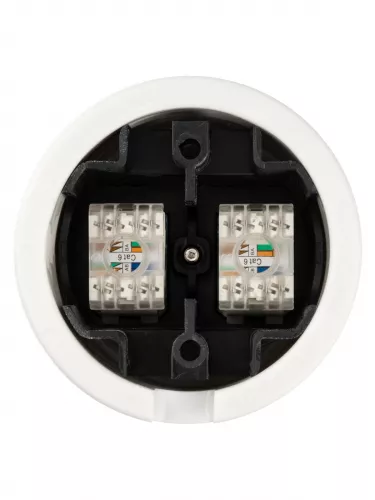 Розетка двойная компьютерная RJ45 белая «Болонь» TDM фото 5