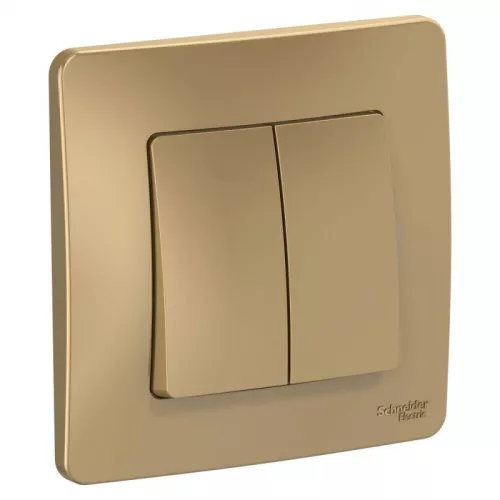 Выключатель 2-кл. СП Blanca 10А IP20 (сх. 5) 250В титан SchE BLNVS010504