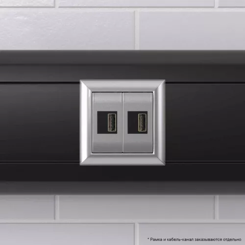 Устройство зарядное USB модульное 2мод. Avanti "Закаленная сталь" DKC 4404542 фото 6