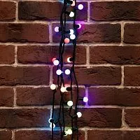 Гирлянда "Мультишарики" 10м d17.5мм 100LED RGB провод черн. ПВХ 30Вт 220В IP44  Neon-Night 303-509-2