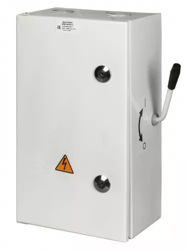 ЯБПВУ-250А IP54 (с ПН-2) модификация2 TDM фото 2