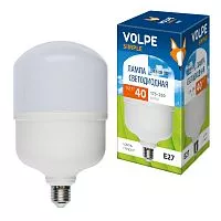 LED-M80-40W/DW/E27/FR/S Лампа светодиодная. Матовая. Серия Simple. Дневной свет (6500K). Картон. ТМ Volpe.