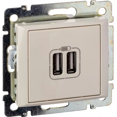 Розетка USB 2-м СП Valena сл. кость Leg 774170 фото 9