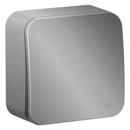 Выключатель 1-кл. ОП Blanca 10А IP20 (сх. 1) 250В алюм. SchE BLNVA101003 Выключатель 1-кл. ОП Blanca 10А IP20 (сх. 1) 250В алюм. SchE BLNVA101003