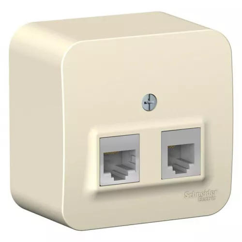 Розетка компьютерная + телеф. 2-м ОП BLANCA RJ45 кат.5e + RJ11 изол. пласт. молоч. SchE BLNIA045112