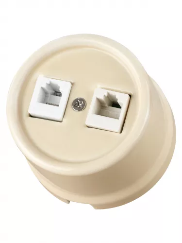Розетка телефонная RJ11 + компьютерная RJ45 сл. кость «Болонь» TDM фото 2