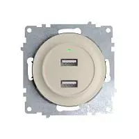 Розетка USB 2-м СП Florence 16А IP20 с подсветкой механизм беж. 1E10351301 OneKeyElectro 2260090