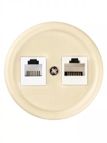 Розетка телефонная RJ11 + компьютерная RJ45 сл. кость «Болонь» TDM фото 3