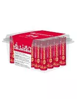 Элемент питания алкалиновый AAA/LR03 1.5В Energy Alkaline 2021 Pack-24 (уп.24шт) DAEWOO 5029965