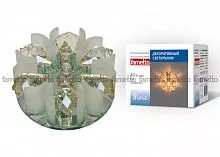 DLS-F120 G4 GLASSY/CLEAR+CHAMPAGNE