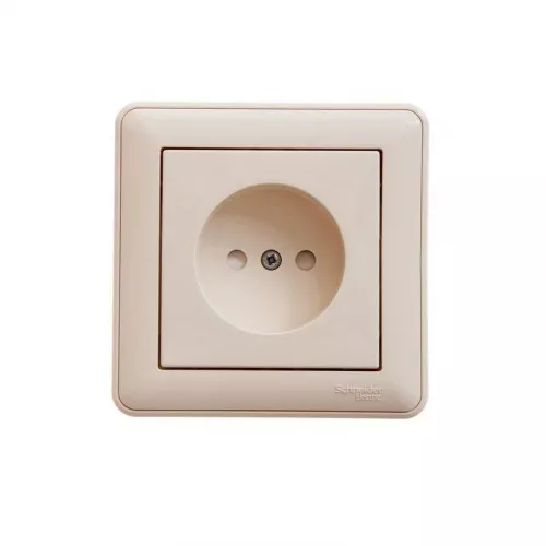 Розетка 1-м СП W59 16А IP20 защ. шторки без заземл. сл. кость SchE RS16-151-28 Розетка 1-м СП W59 16А IP20 защ. шторки без заземл. сл. кость SchE RS16-151-28