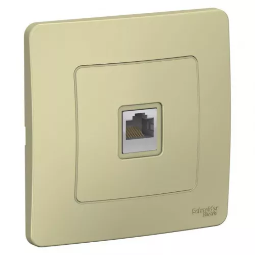 Розетка компьютерная 1-м СП BLANCA RJ45 кат.5e беж. SchE BLNIS045007 Розетка компьютерная 1-м СП BLANCA RJ45 кат.5e беж. SchE BLNIS045007